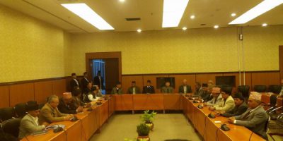 मोर्चा आन्दोलनमा, अरु दल निर्वाचनमा