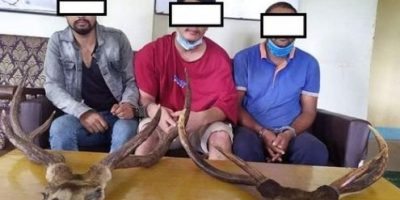 जरायोको सिंगसहित ३ जना पक्राउ