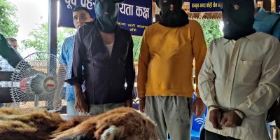 रेड पाण्डाको छाला र भालुको पित्तसहित ३ जना बाँके प्रहरीको फन्दामा