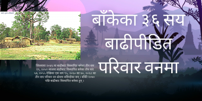 बाँकेमा ३६ सय बाढीपीडित परिवार वनमा बाँकेमा ३६ सय बाढीपीडित परिवार वनमा