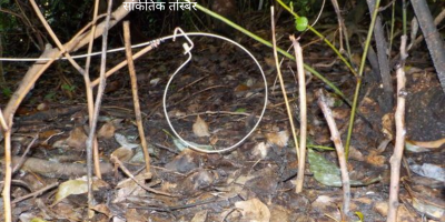 बँदेललाई थापेको पासोमा परेर एकै घरका तीन जनाको मृत्यु