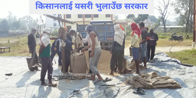 कि कोटा बढाउ कि लागतमा अनुदान देउ : किसान कि कोटा बढाउ कि लागतमा अनुदान देउ : किसान
