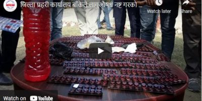 बाँके प्रहरीले नष्ट गर्यो लागुऔषध (भिडियो) बाँके प्रहरीले नष्ट गर्यो लागुऔषध (भिडियो)