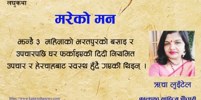लघुकथा : मरेको मन