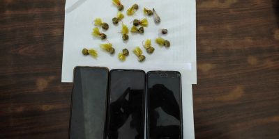 २४ ग्राम ब्राउनसुगर बरामद २४ ग्राम ब्राउनसुगर बरामद