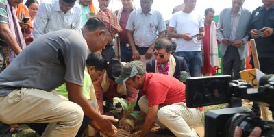 गाभर भ्यालीमा २० हजार बिरुवा रोपिने गाभर भ्यालीमा २० हजार बिरुवा रोपिने