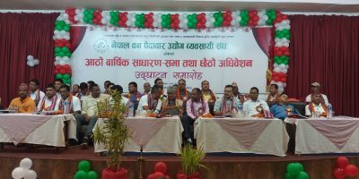 ‘प्रदेशले कानुन बनाउँदा काठ उद्योग मर्कामा’