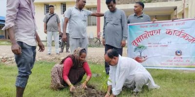 जानकी गाउँपालिका द्धारा वृक्षारोपण जानकी गाउँपालिका द्धारा वृक्षारोपण