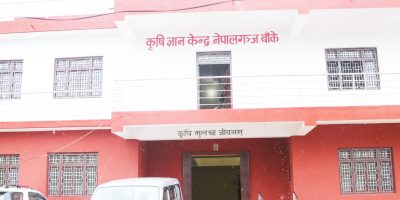चुनावले धानको मुल्य निर्धारणमा प्रभावित चुनावले धानको मुल्य निर्धारणमा प्रभावित