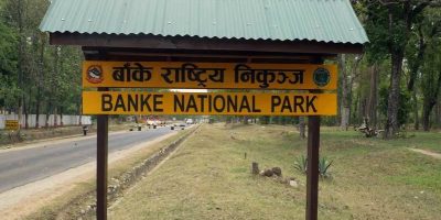 वन्यजन्तु समस्या समाधान गरिदिन मतदाताको अपिल वन्यजन्तु समस्या समाधान गरिदिन मतदाताको अपिल