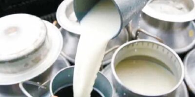 भुक्तानी नपाएपछि दूध उत्पादक किसान निरुत्साहित भुक्तानी नपाएपछि दूध उत्पादक किसान निरुत्साहित