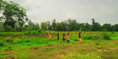 वन नजिकैको गाउँलाई जोगाउन तारजाली वन नजिकैको गाउँलाई जोगाउन तारजाली