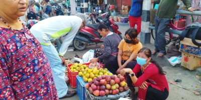 दसैँ–तिहारलाई कोसेली कर्णालीको स्याउ