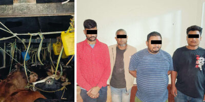 पशुलाई निर्दयी व्यवहार गरेको आरोपमा ४ जना पक्राउ