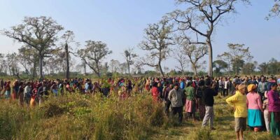 पाटे बाघको आक्रमणबाट एक महिला मृत्यु